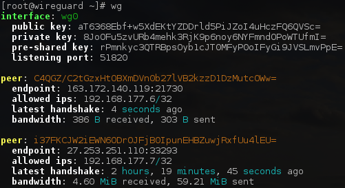 WireGuard configuration interface showing encryption keys and network routing